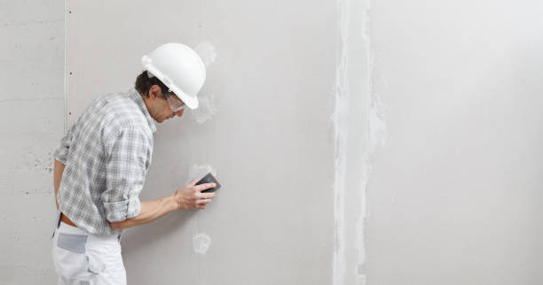 Best Mold-Related Health Consultation  in Southmayd, TX