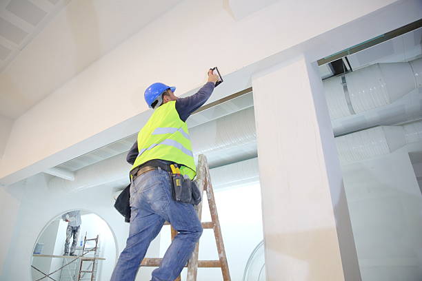 Best Air Quality Testing for Mold Spores  in Southmayd, TX